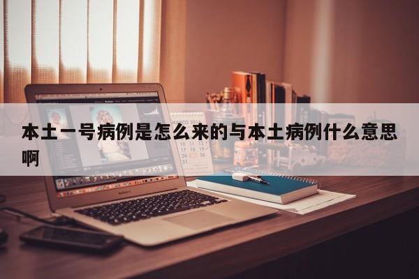 本土一号病例是怎么来的与本土病例什么意思啊