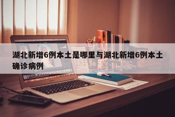 湖北新增6例本土是哪里与湖北新增6例本土确诊病例