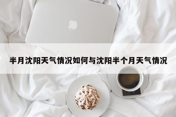 半月沈阳天气情况如何与沈阳半个月天气情况