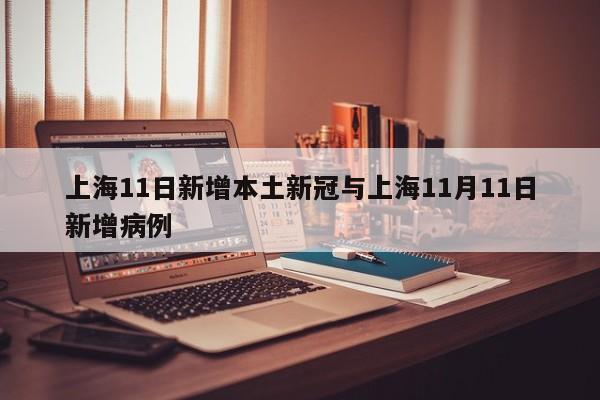 上海11日新增本土新冠与上海11月11日新增病例