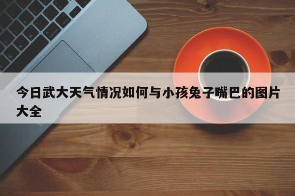 今日武大天气情况如何与小孩兔子嘴巴的图片大全