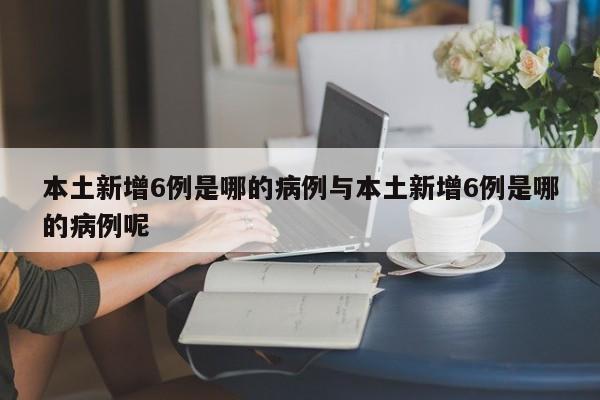 本土新增6例是哪的病例与本土新增6例是哪的病例呢