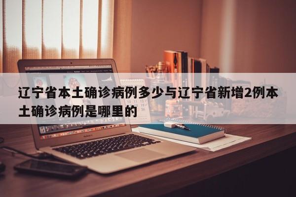 辽宁省本土确诊病例多少与辽宁省新增2例本土确诊病例是哪里的