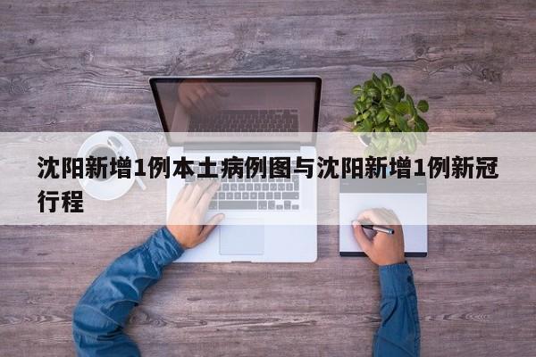沈阳新增1例本土病例图与沈阳新增1例新冠行程