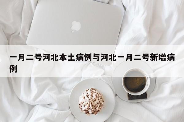 一月二号河北本土病例与河北一月二号新增病例