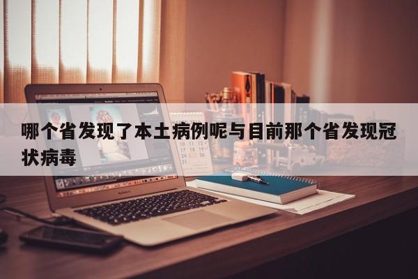 哪个省发现了本土病例呢与目前那个省发现冠状病毒